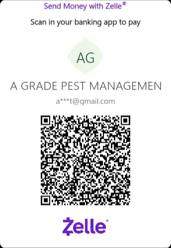 Zelle QR code